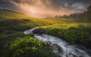 Stream lush hillside yellow flowers - a stream free wallpaper