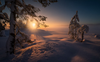 Sunset snow trees mountain ocean - a sunset in the distance free wallpaper