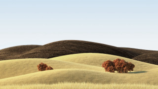 Grassy field trees hills blue 2 - a grassy field free wallpaper