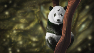 Panda hanging on branch fantasy - a panda bear free wallpaper for desktop
