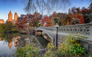 Bridge river city autumn leaves - autumn free wallpaper