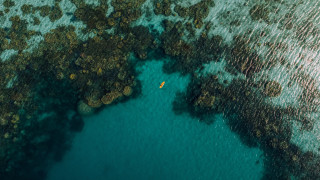 Boat tree shore rock milkyway - floating free wallpaper