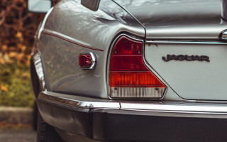 Silver car tail lights cat - sharp detail free wallpaper