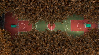 Basketball court trees grass tilt - a basketball court free wallpaper