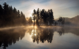 Lake fog sunrise trees reflection - godray free wallpaper