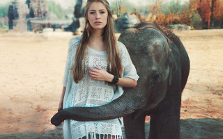 Woman elephant dirtfield trees building - the background and a building in the background free wallpaper