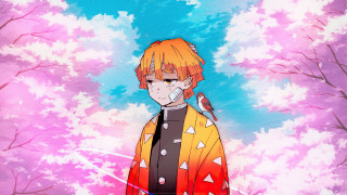 Orange bird man anime flowers - his shoulder free wallpaper for desktop