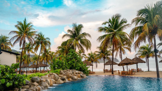 Ocean pool palm trees beach - a pool free wallpaper