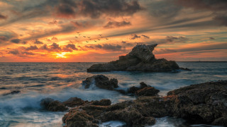 Sunset ocean birds rocks waves - a sunset over the ocean free wallpaper