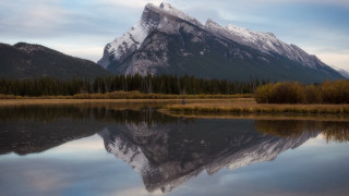 Mountain reflection trees person beach - the water and trees free wallpaper