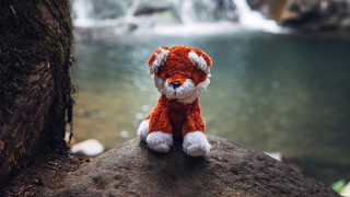 Stuffed animal waterfall river furry - stuffed free wallpaper