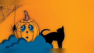 Black cat pumpkin webs halloween - pop surrealism free wallpaper