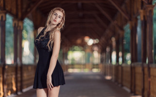 Woman black dress posing wooden - covered free wallpaper