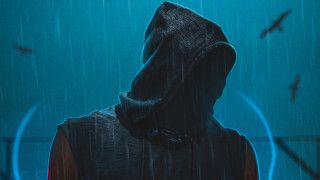 Man hooded rain bird background - overhead in the background free wallpaper