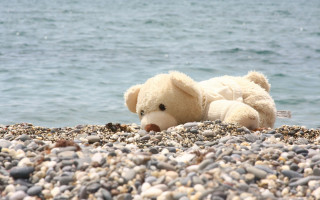 Teddy bear rocky beach ocean - its ear free wallpaper