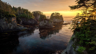 Sunset water trees cliff birds - a few bird free wallpaper for desktop