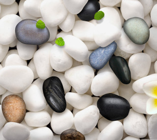 Rocks flowers pattern white surface - a white surface free wallpaper for tablet