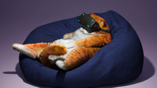 Cat remotes futuristic beanbag ultra - a remote control free wallpaper for desktop