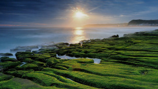 Sunset lake mountain forest shore - green moss free wallpaper