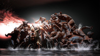 Elephants water redlight blackbackground - a group of elephants free wallpaper