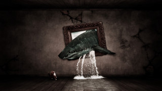 Shark jumping room puddle mirror - a shark free wallpaper