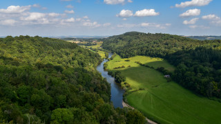 River forest hills blue sky - a lush green forest free wallpaper for desktop