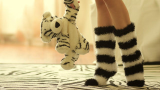 Zebra socks stuffed animal zebra - their other hand free wallpaper