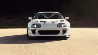 White car forest street sun - detailed face free wallpaper