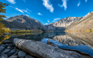 Lake shore log mountains clouds - a log free wallpaper