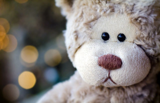 Teddy bear close up blurry - aloysius okelly free wallpaper for desktop