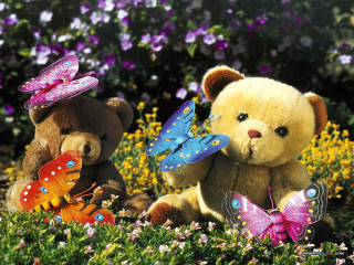 Teddy bears field flowers butterflies 2 - two teddy free wallpaper