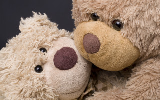 Brown tan stuffed animals close - tan free wallpaper