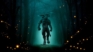 Deer forest fireflies glowing night - firefly free wallpaper