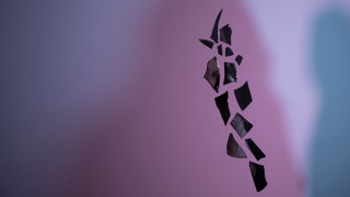 Broken glass window bird reflection - a broken glass window free wallpaper