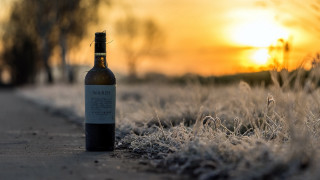 Wine sunset frosty field anamorphic - frosty free wallpaper
