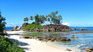 Beach rock palm trees sky - a sandy shore free wallpaper