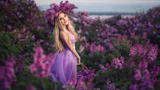 Purple dress flower field magic - anka zhuravleva free wallpaper for desktop
