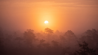 Sunset forest mountains moon hazy - a hazy sky free wallpaper