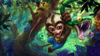 Monkey snake jungle forest nature - the jungle free wallpaper