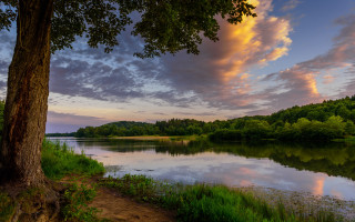 Sunset tree lake hudson river - free summer wallpaper