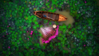 Boat green field flower forest - bian jingzhao free wallpaper