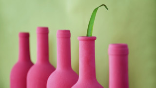 Green plant pink vases ecological - a green plant free wallpaper