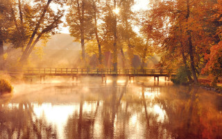 Bridge river trees fog autumn - a bridge over a river free wallpaper