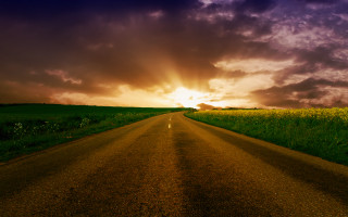 Road field sky clouds sunset - the background and sun free wallpaper
