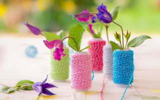 Vases flowers string beatrix potter - soft color free wallpaper