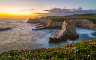 Sunset ocean cliff flowers beach - a beautiful sunset over the ocean free wallpaper