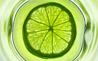 Lime slice glass water green - a lime free wallpaper