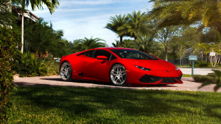 Red sports car brick road 6 - palm tree free wallpaper for desktop