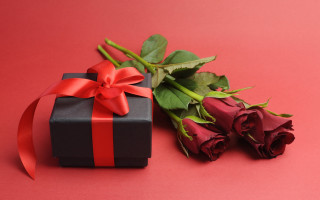 Black box red ribbon rose 2 - a single rose free wallpaper