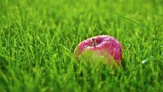 Pink apple green field bite - a bite free wallpaper